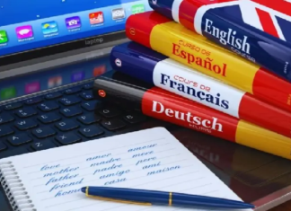 Dil Çeşitliliğinin Ardındaki Ortak Zihin: Evrensel Dilbilgisi Tartışması Güçleniyor