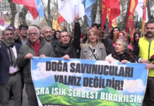 Akbelen Direnişine Tutuklama: Doğa Mücadelesine Baskı Tartışması Büyüyor