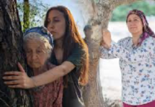 Bir Annenin Feryadı: Akbelen’de Adalet Bekleyen Bir Ses