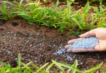 Savaşın Görünmeyen Cephesi: Orta Doğu Gerilimi Sofraları Vurmaya Başladı