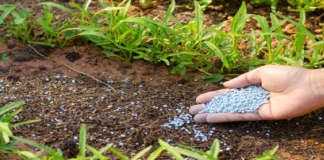 Savaşın Görünmeyen Cephesi: Orta Doğu Gerilimi Sofraları Vurmaya Başladı