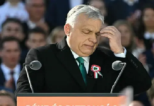 Enflasyon Sandıkta Orban İktidarını Devirdi