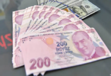 200 Liralık “Mor Banknot” 17 Yılda Pul Oldu