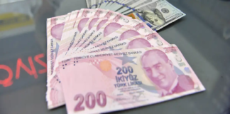 200 Liralık “Mor Banknot” 17 Yılda Pul Oldu