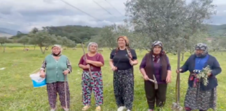Akbelen’den Yükselen 1 Mayıs: Toprak, Emek Ve Direniş Aynı Sözde Buluştu