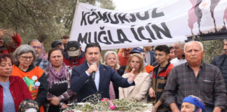 Akbelen’de Yargı Freni: Danıştay’ın Kararı Şirket Odaklı Kamulaştırmaya Darbe Oldu