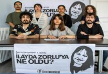 İlayda Zorlu Dosyası, Devlet-Aile-Şiddet Hattını Tartışmaya Açtı