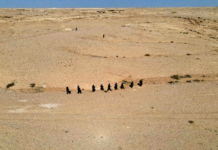 Irak Çölünde Gizli İsrail Üssü İddiası