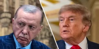 Trump Desteği Erdoğan’a Yeni Alan Açıyor
