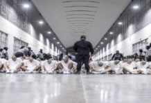 İnsan Deposu Uygarlığın Başını Öne Eğdiği Bir Hapishane
