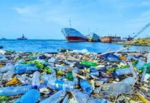 Akdeniz Plastik Tozuna Boğuluyor