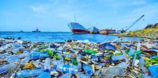 Akdeniz Plastik Tozuna Boğuluyor