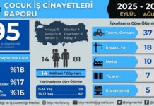 Çocuk İşçiliğinin Karanlık Bilançosu: Bir Eğitim Yılında En Az 95 Çocuk İşçi Hayatını Kaybetti
