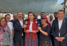 Evrim Rızvanoğlu’ndan Varto Direnişine Destek