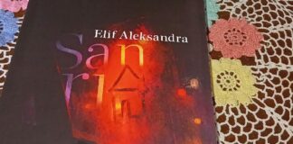 Elif Aleksandra’nın İlk Romanı Sanrı: Aşkın Karanlık Yüzüne Uzanan Bir Hikâye