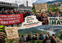 Türkiye’de Emek ve Toprak Mücadelesi: Fabrikalardan Köylere Uzanan Direnişler