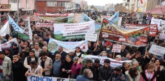 Murat Dağı’nda Toprağın ve Suyun Savunması: Gürlek Köylüleri Madene Karşı Birleşti